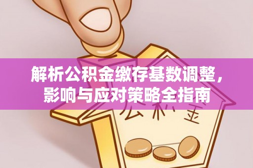 江城解析公积金缴存基数调整，影响与应对策略全指南