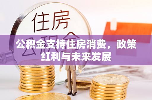 江城公积金支持住房消费，政策红利与未来发展