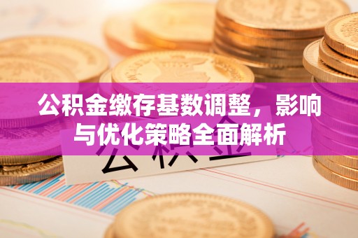 江城公积金缴存基数调整，影响与优化策略全面解析