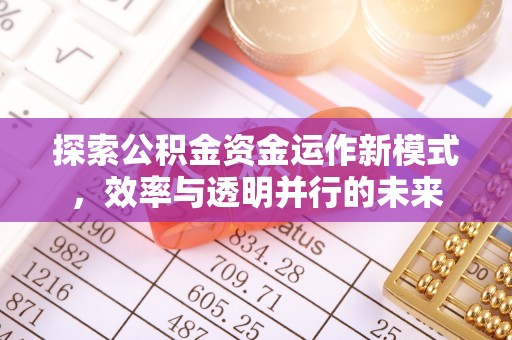 江城探索公积金资金运作新模式，效率与透明并行的未来