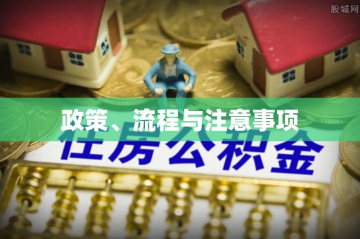 江城政策、流程与注意事项