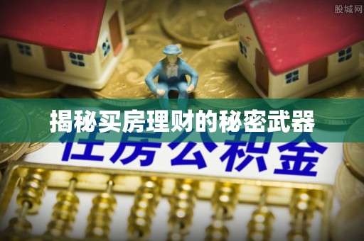 江城揭秘买房理财的秘密武器