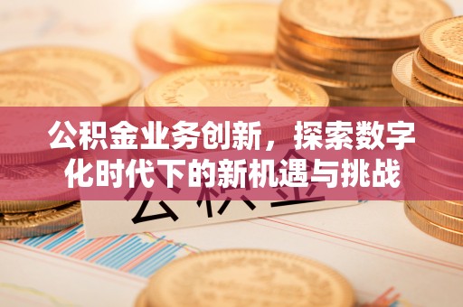 江城公积金业务创新，探索数字化时代下的新机遇与挑战