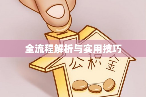 江城全流程解析与实用技巧