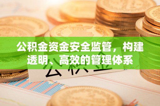 江城公积金资金安全监管，构建透明、高效的管理体系