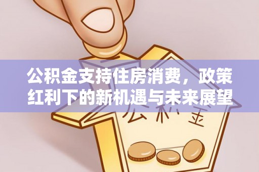 江城公积金支持住房消费，政策红利下的新机遇与未来展望