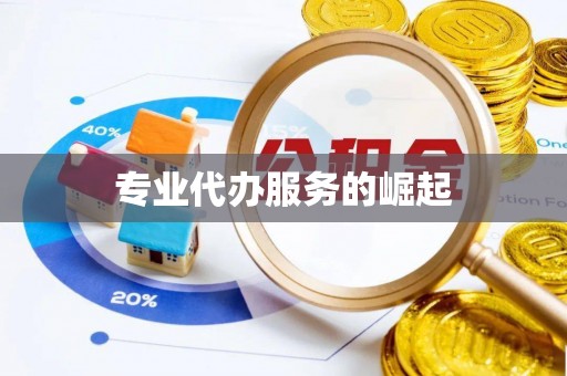 江城专业代办服务的崛起