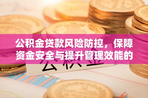 江城公积金贷款风险防控，保障资金安全与提升管理效能的多维度探索