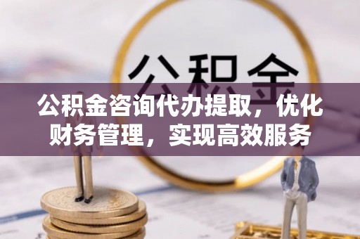 江城公积金咨询代办提取，优化财务管理，实现高效服务