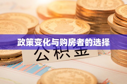 江城政策变化与购房者的选择