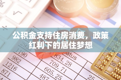 江城公积金支持住房消费，政策红利下的居住梦想
