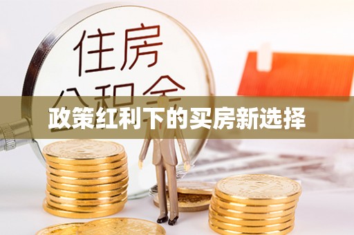 江城政策红利下的买房新选择