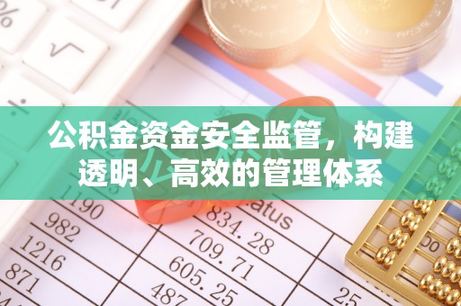 江城公积金资金安全监管，构建透明、高效的管理体系