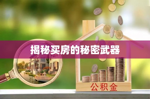 江城揭秘买房的秘密武器