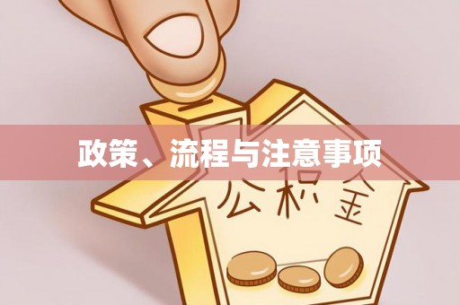 江城政策、流程与注意事项