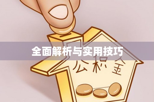 江城全面解析与实用技巧