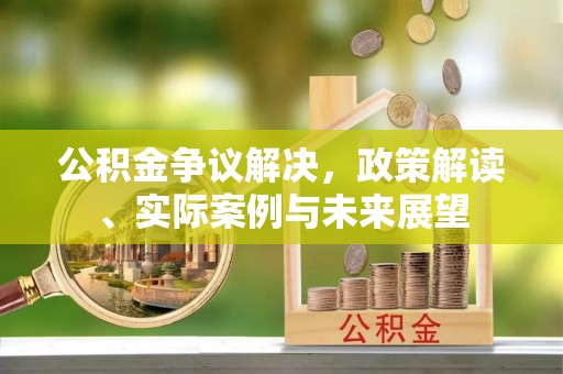 江城公积金争议解决，政策解读、实际案例与未来展望