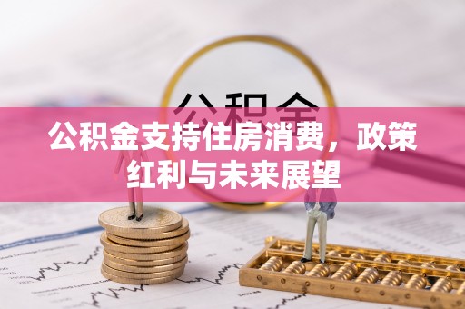 江城公积金支持住房消费，政策红利与未来展望