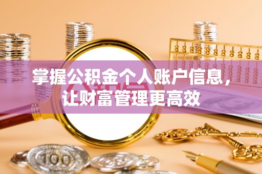 江城掌握公积金个人账户信息，让财富管理更高效