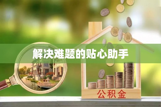 江城解决难题的贴心助手