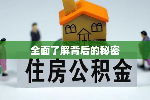 江城全面了解背后的秘密