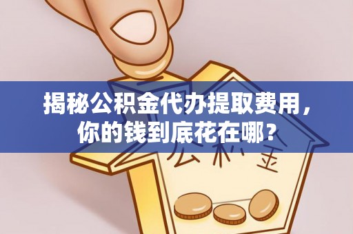 江城揭秘公积金代办提取费用，你的钱到底花在哪？