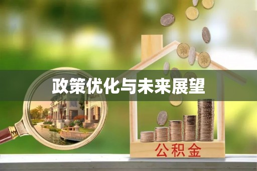 江城政策优化与未来展望