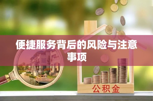 江城便捷服务背后的风险与注意事项