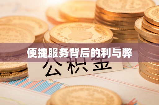 江城便捷服务背后的利与弊