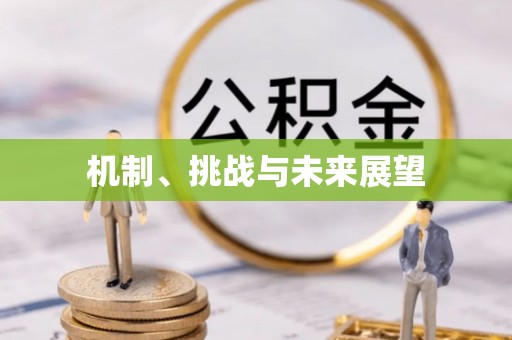 江城机制、挑战与未来展望