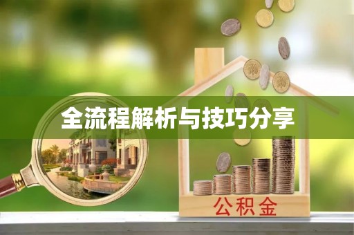 江城全流程解析与技巧分享