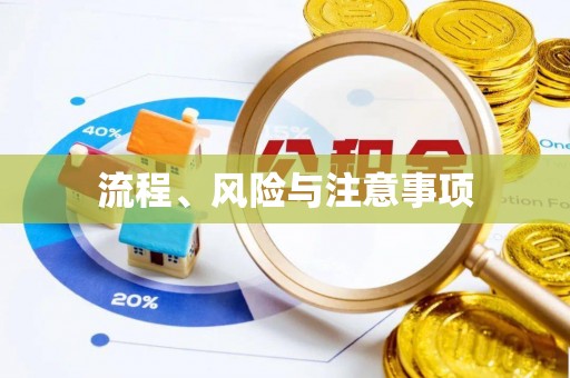 江城流程、风险与注意事项