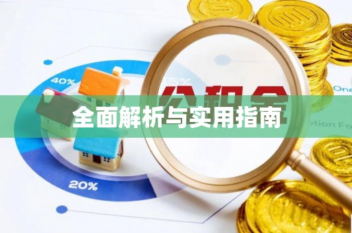 江城全面解析与实用指南