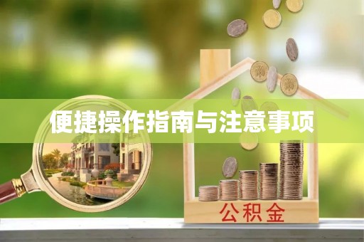 江城便捷操作指南与注意事项