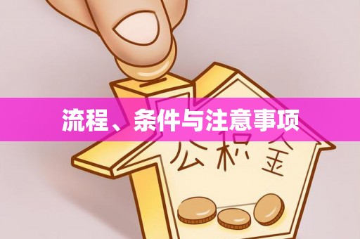 江城流程、条件与注意事项